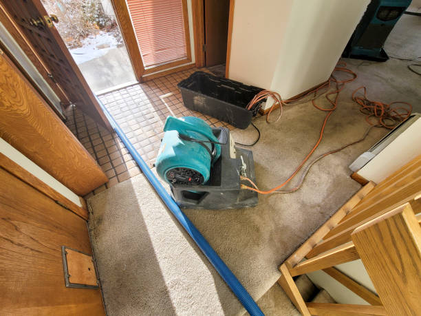 Best Water damage restoration company  in Big Coppitt Key, FL