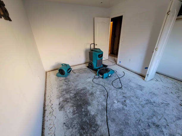 Best Commercial water damage restoration  in Big Coppitt Key, FL