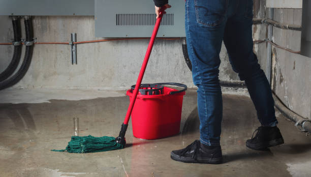 Best Flood damage cleanup  in Big Coppitt Key, FL