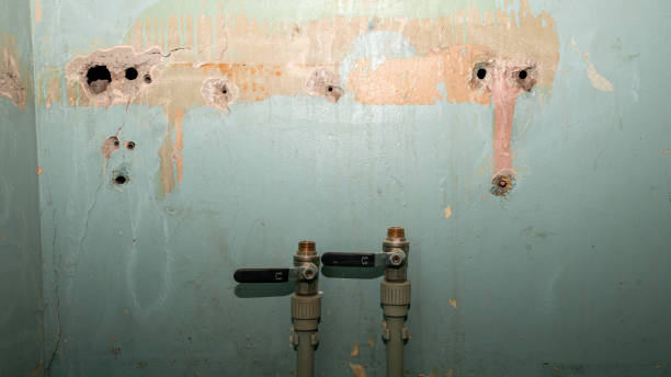 Best Water damage restoration near me  in Big Coppitt Key, FL