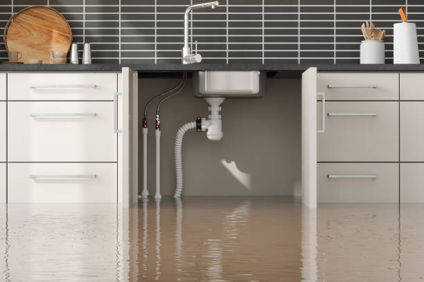 Best Water damage restoration mold remediation  in Big Coppitt Key, FL