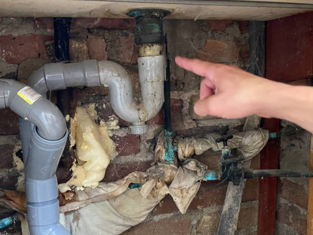 Best Ceiling water damage repair  in Big Coppitt Key, FL