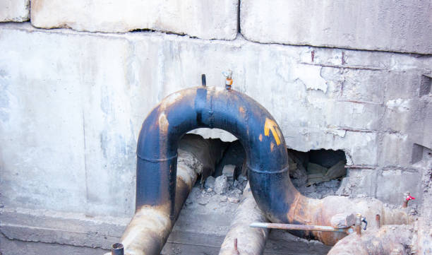 Best Professional water damage repair  in Big Coppitt Key, FL