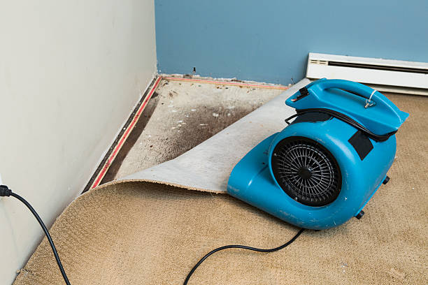 Best 24-hour water damage restoration  in Big Coppitt Key, FL